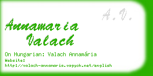 annamaria valach business card